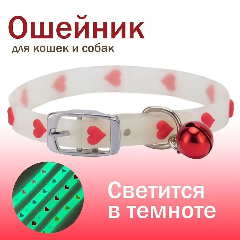 Ошейник светящийся для кошек и собак мелких пород, вариант