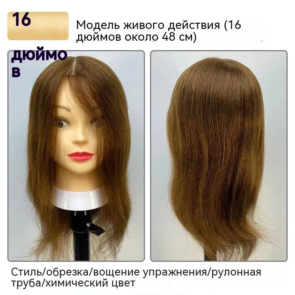 Голова манекен для причесок учебная парикмахерская 100% человеческий волос, 38-45см, вариант