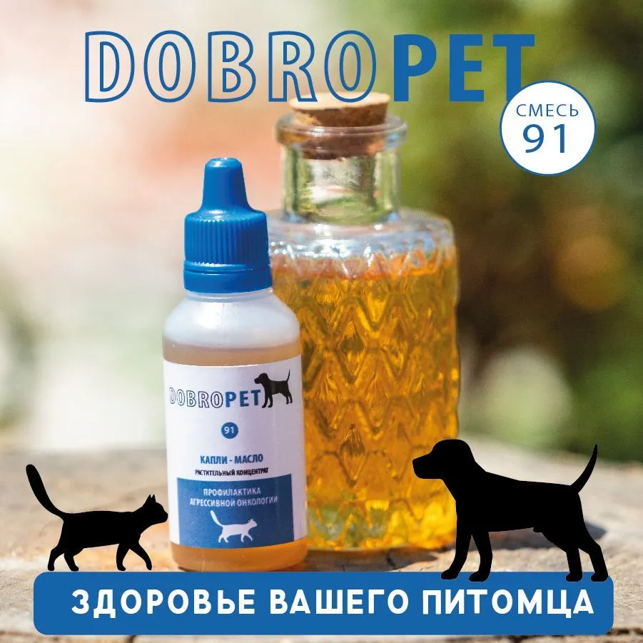 Капли DOBROPET: онкологические заболевания у собак и кошек, 10 мл, 10 мл, фото 4