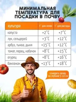 Термометр для почвы и теплицы садовый, вариант, фото 3