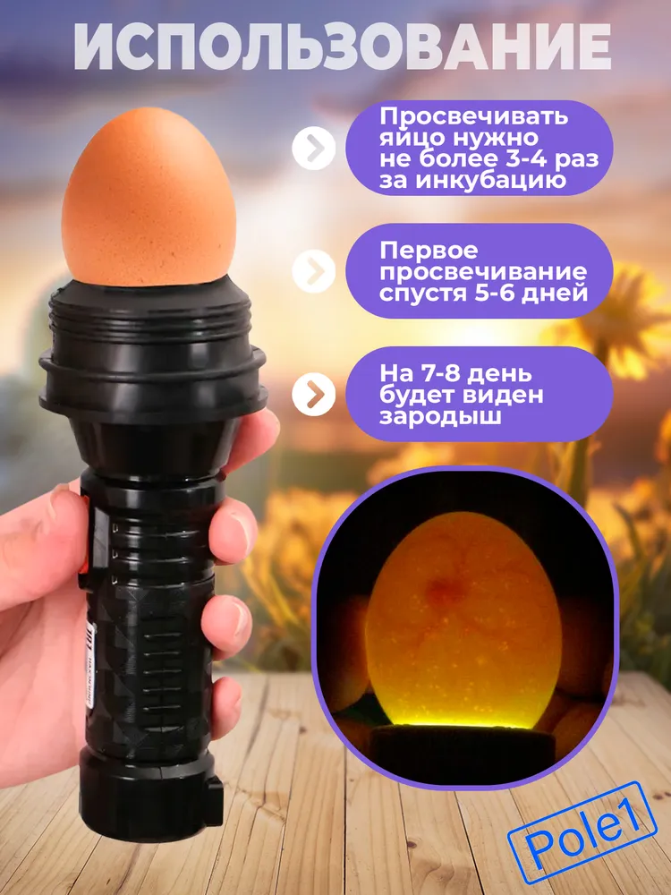 Овоскоп ручной фонарик для проверки яиц, светодиодный аккумуляторный, от сети, вариант, фото 3