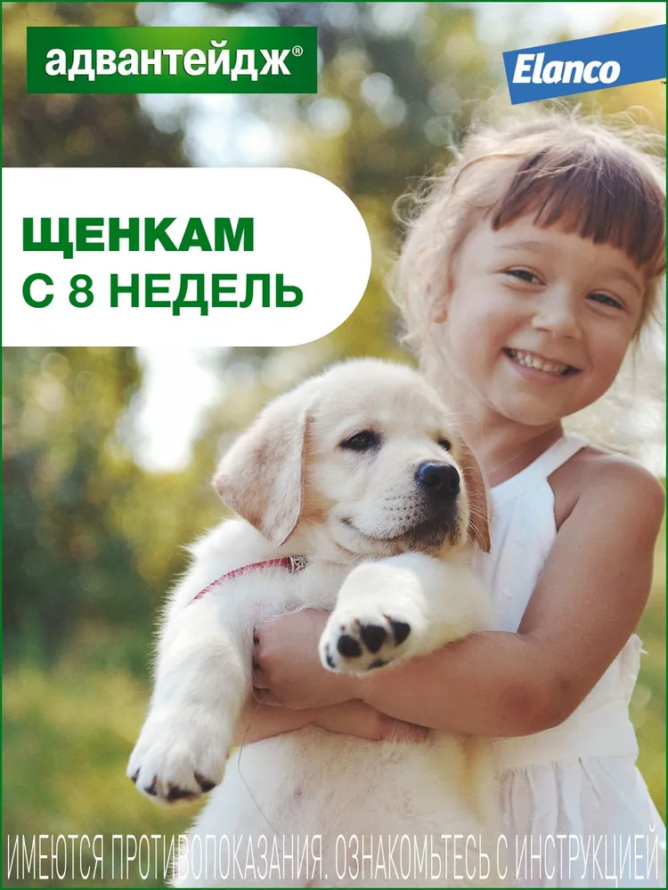 Адвантейдж® капли на холку от блох для собак 4-10 кг – 4 пипетки, 10 кг, фото 6