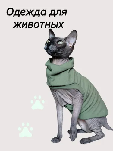 Одежда для животных