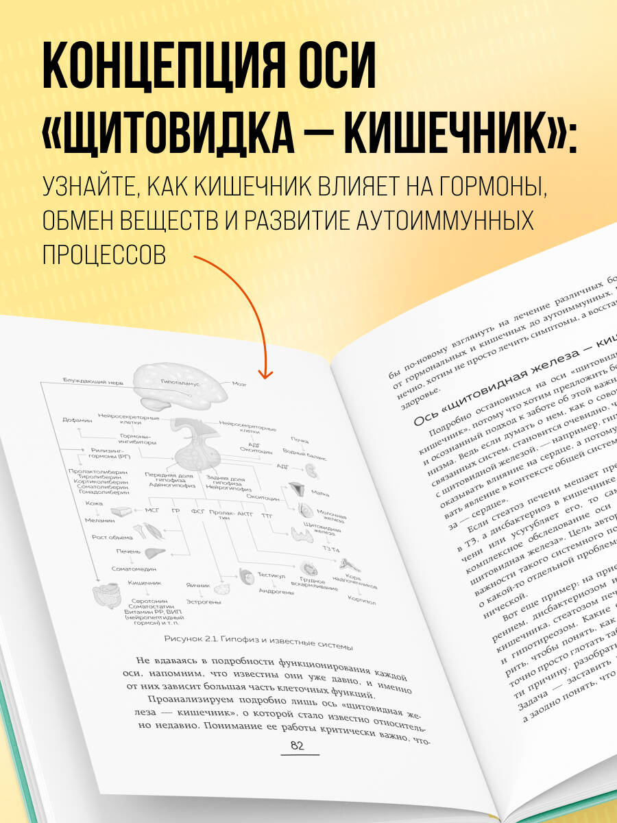 Ось щитовидка - кишечник. Как вылечить щитовидную железу, улучшив состояние кишечной микробиоты | Asse tiroide-intestino: Tutto quello che devi sapere e fare per stare veramente bene - Ozon image 2