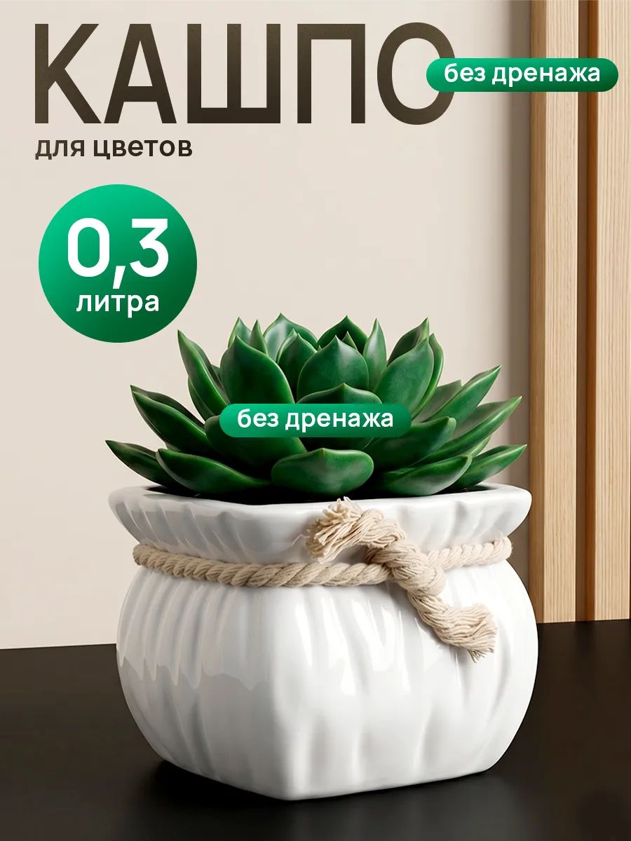 Кашпо 9 * 9 * 6 см для суккулентов и кактусов, мини-кашпо для комнатных растений