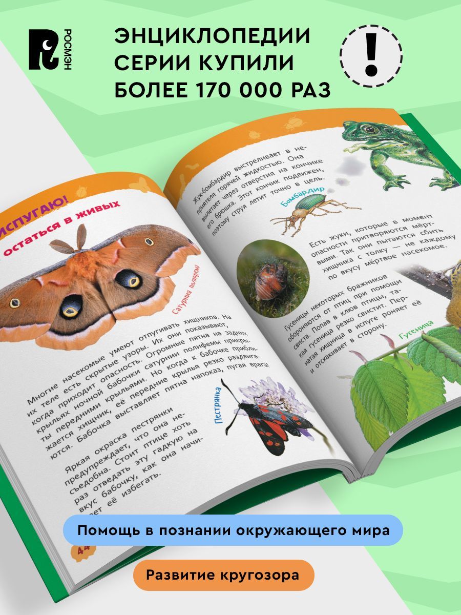 Насекомые. Энциклопедия для детского сада | Insects: Encyclopedia for Kindergarten - Ozon image 1