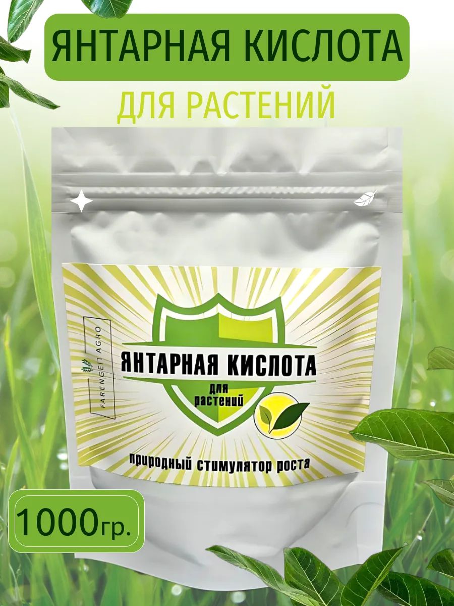 Замачивание семян в растворе янтарной кислоты