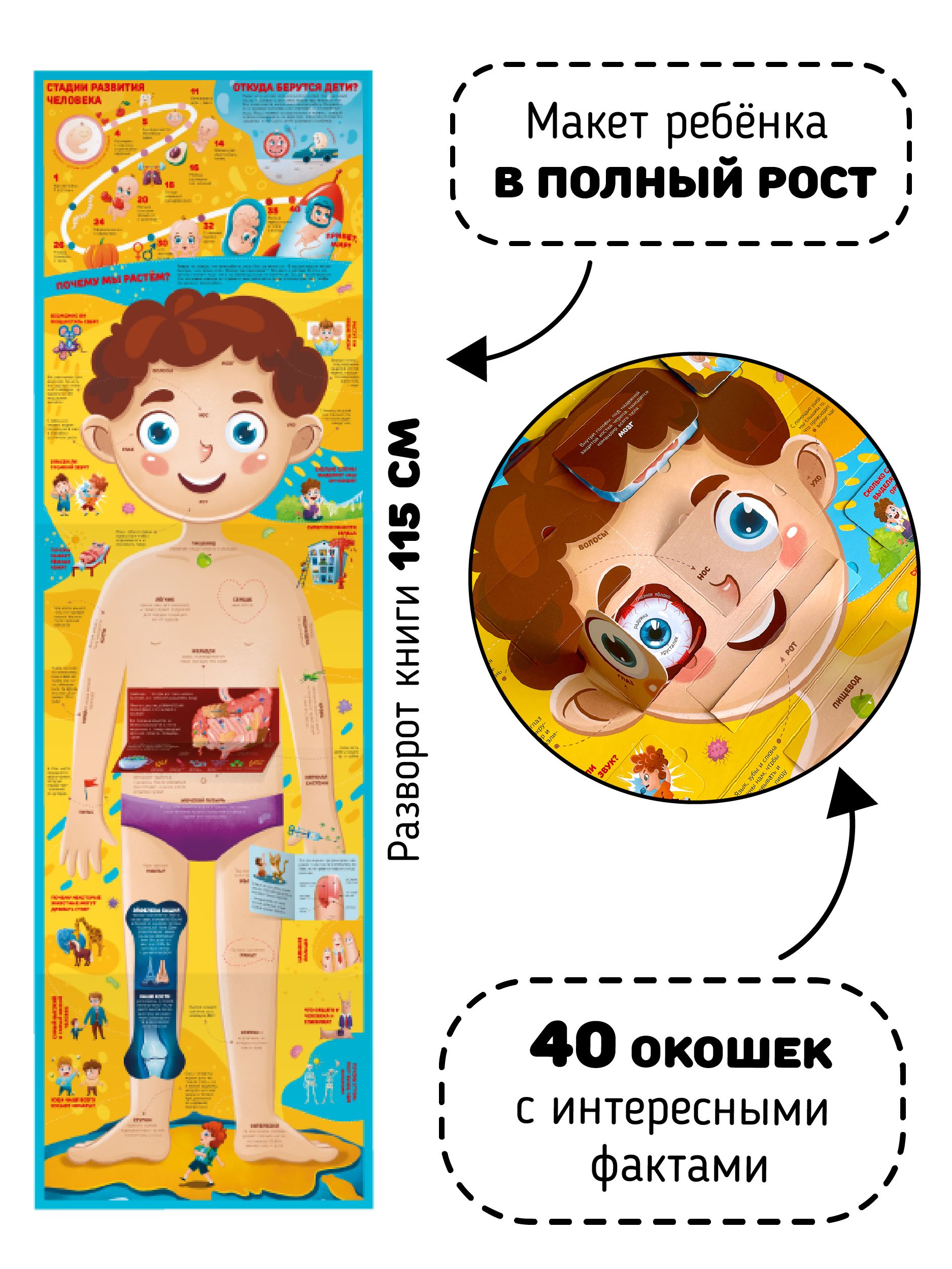 Большая развивающая книга игрушка для детей с окошками и настольной игрой I Счастье внутри | Big Educational Toy Book for Kids with Windows and Board Game «Happiness Inside» - Ozon image 2