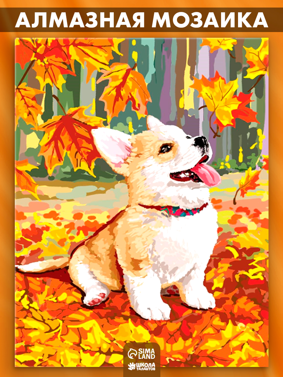 Алмазнаямозаикадлядетей,15х21см,картинастразами/"Корги"
