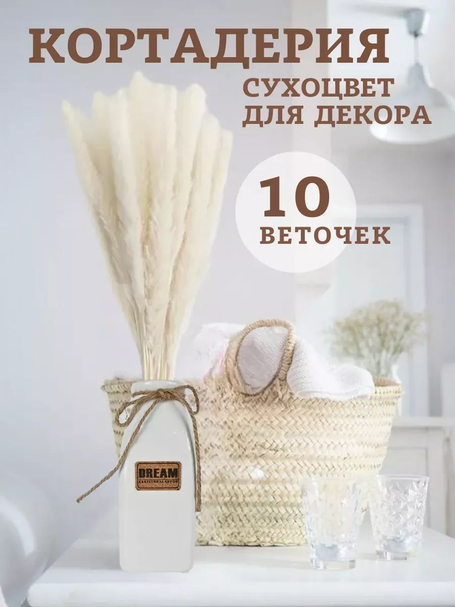Кортадерия белый