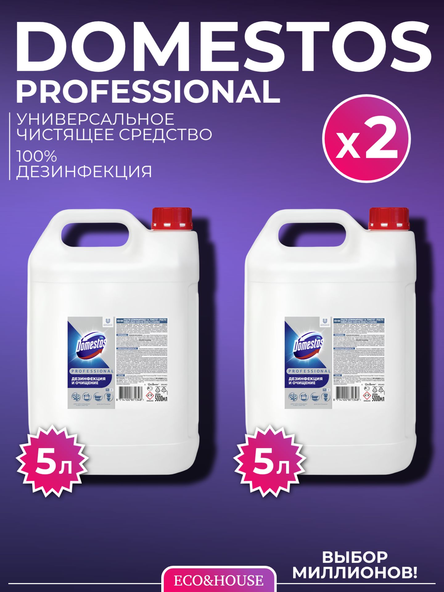 domestos-professional-2