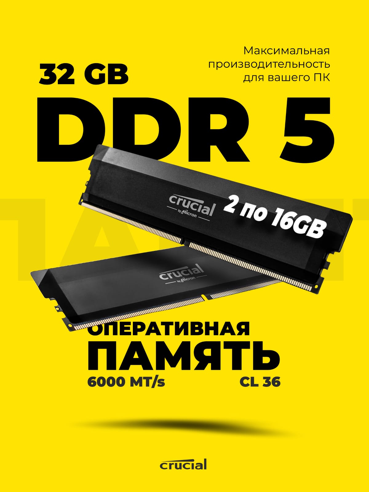 Модуль оперативной памяти Crucial 16 ГБ DDR5 PC48000 6000 MHz CL