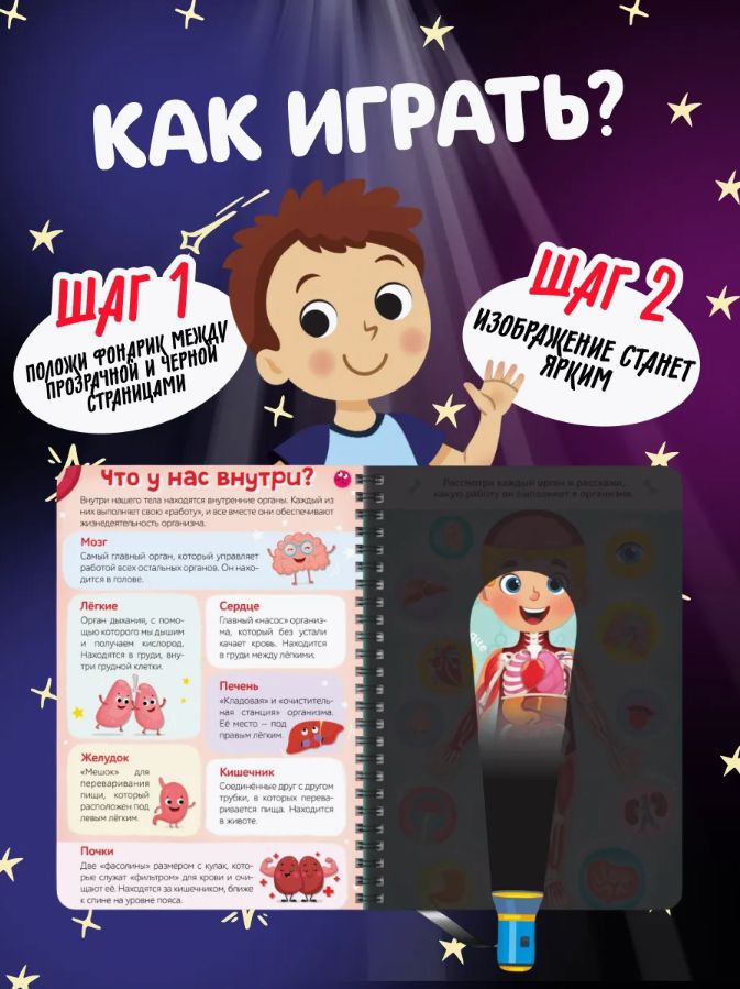 Книжка с фонариком, Буква-Ленд, "Тело человека", книги для детей 3+ | Bukva-Lend Cardboard Flashlight Book for Toddlers - Ozon image 1