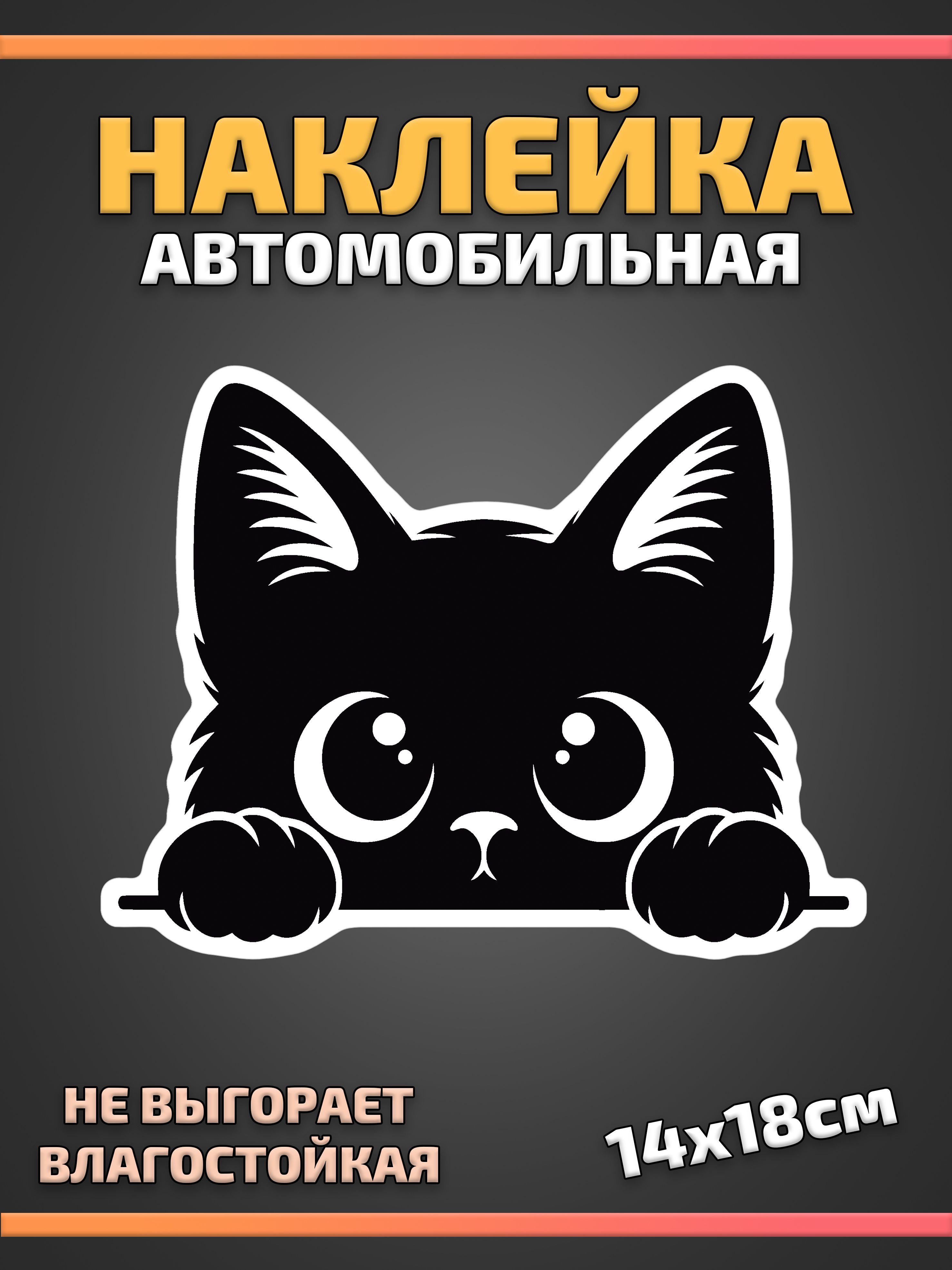 НаклейкадляавтоКотик