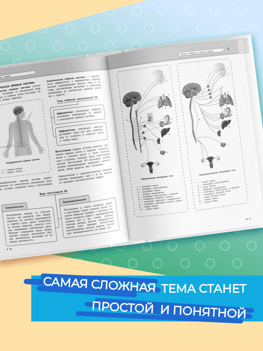 Биология. Подготовка к ОГЭ и ЕГЭ. 5-6-7-8-9-10-11 классы | Reference Book - Ozon image 2