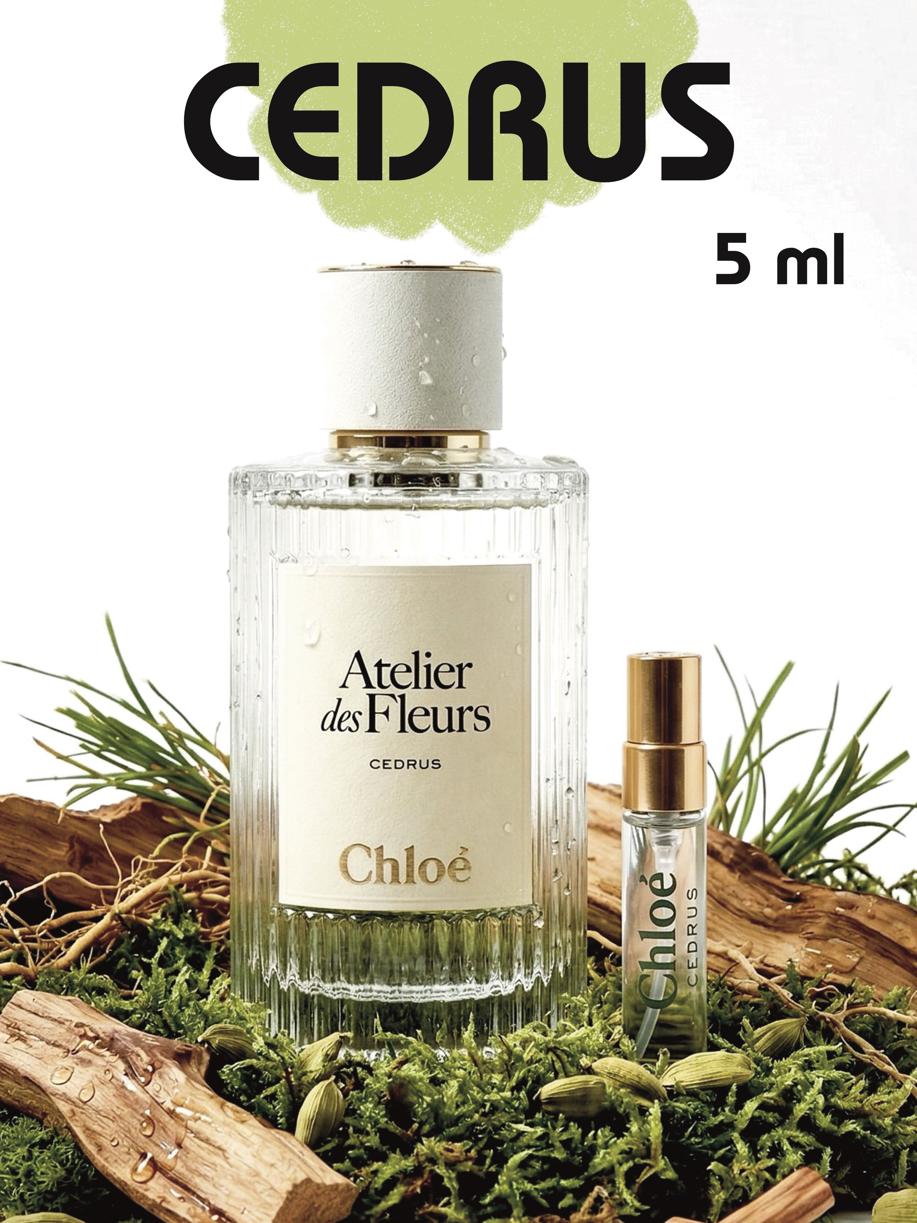 Парфюмерная вода Chloe Cedrus 5 мл купить на OZON по низкой цене