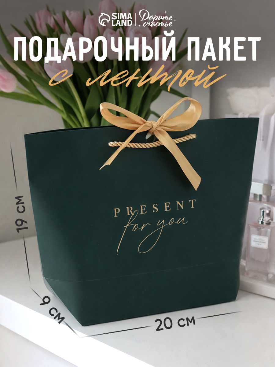 Пакет подарочный, 19 х 20 х 9 см