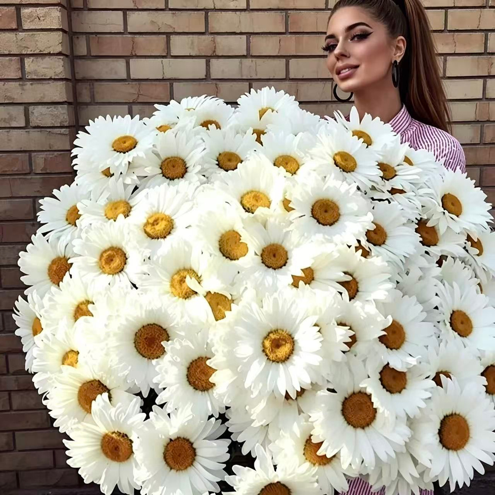 Ромашка ГИГАНТ, семена, многолетняя ,300 шт #1