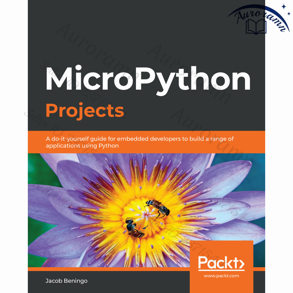 MicroPython Projects #1