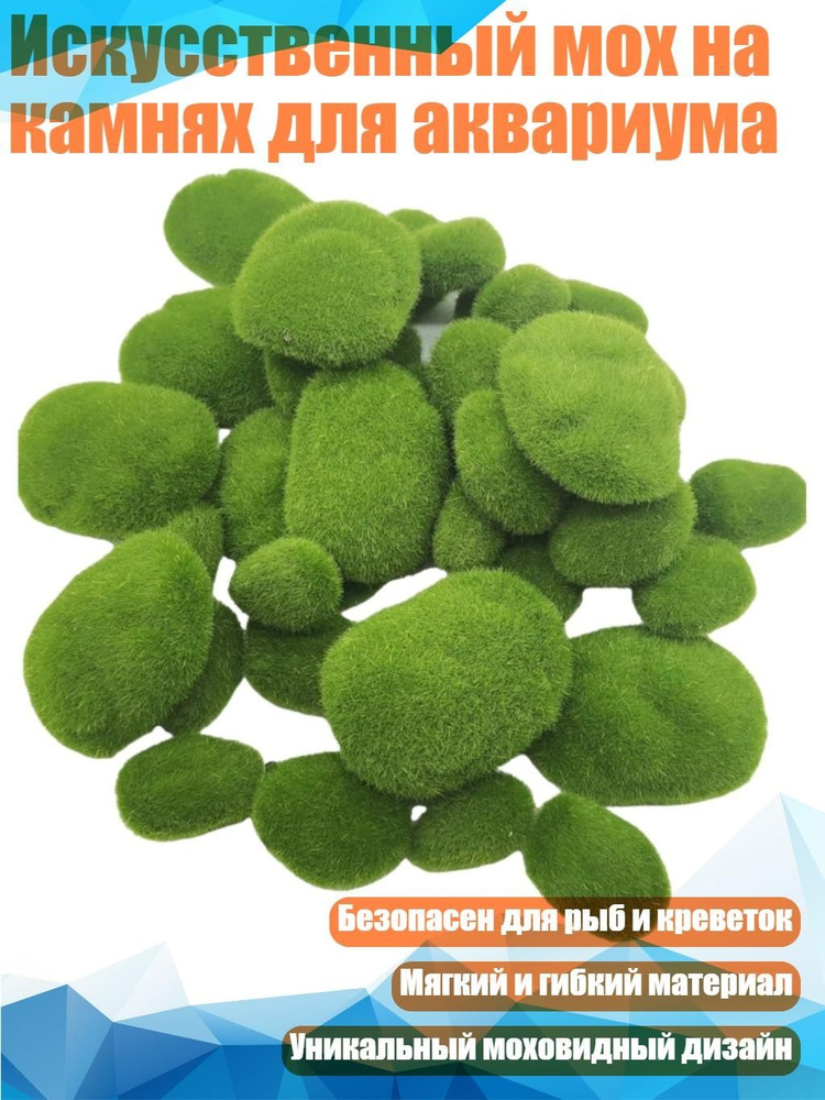 Мох #1
