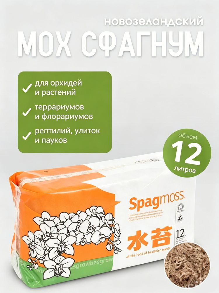 Мох #1