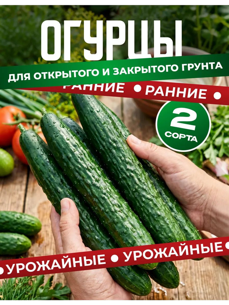 Семена огурцов "Пекинский Вкусный", "Настоящий мужик", ранние и надежные для открытого грунта. #1