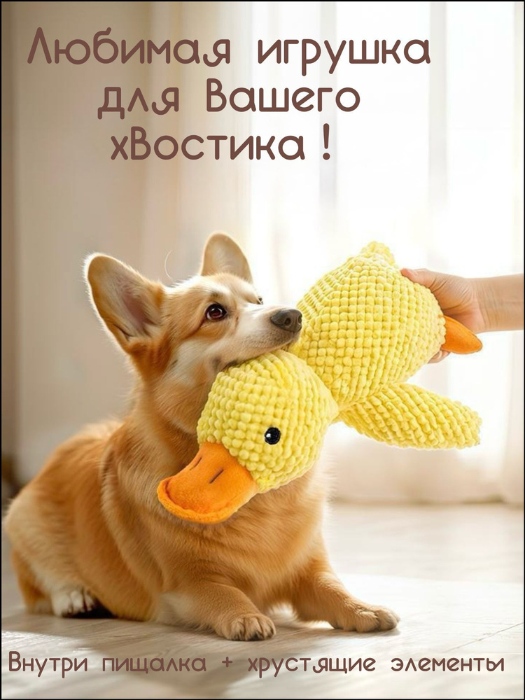 Игрушка для собак #1