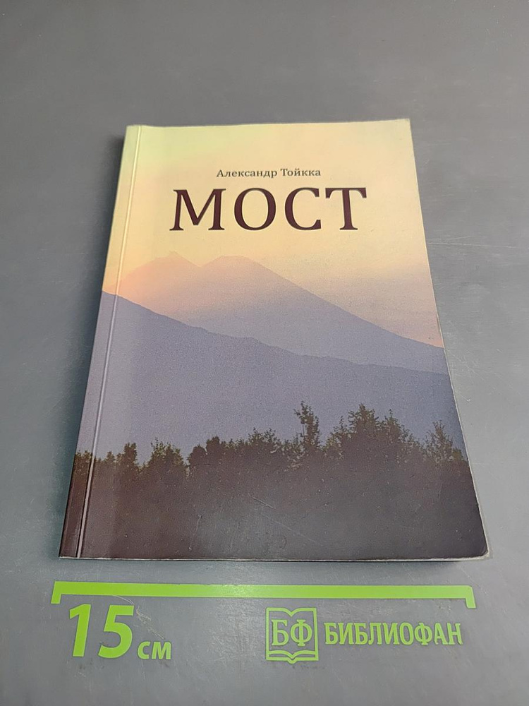 Мост | Книга б/у #1