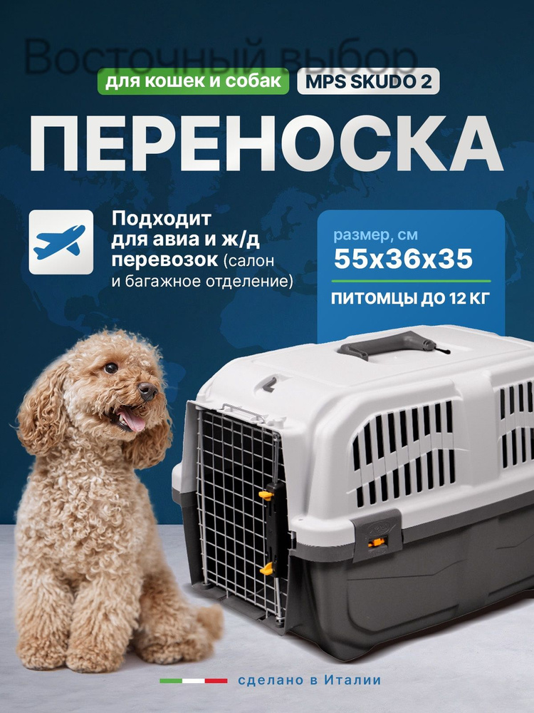 Переноска #1