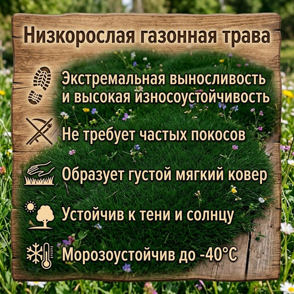 Семена ,1шт #1
