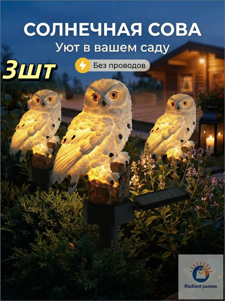 OZON 4787698560 ozon-4787698560