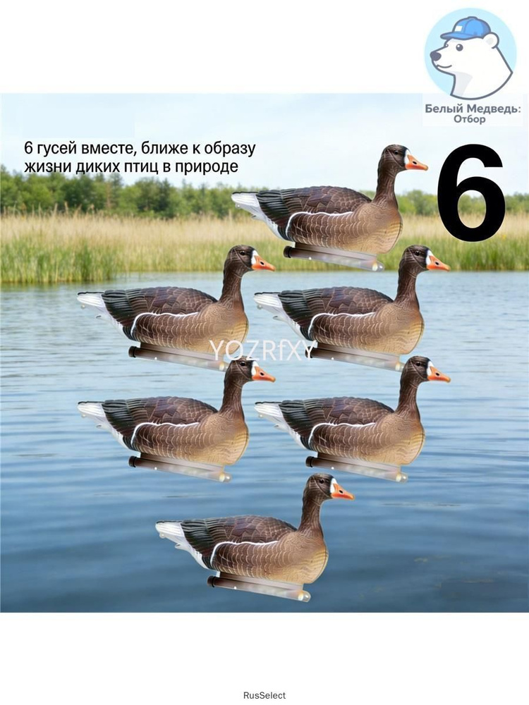 Чучело #1