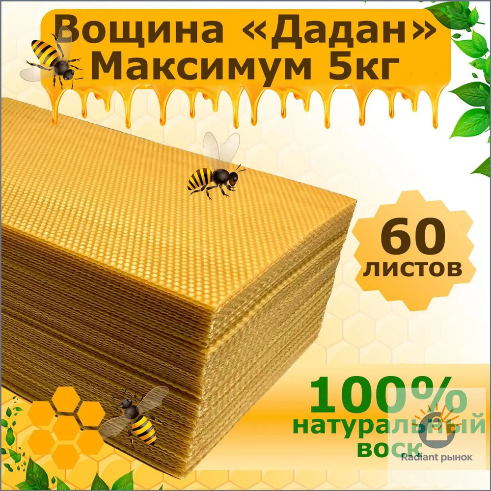 Вощина #1