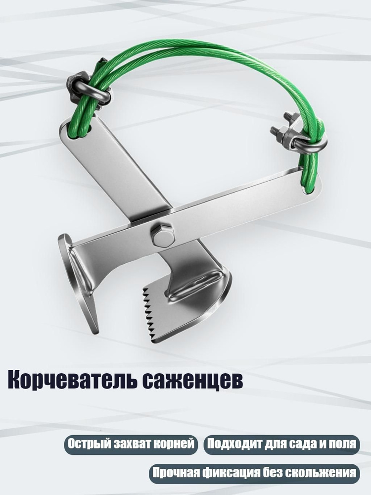 Кустодер #1