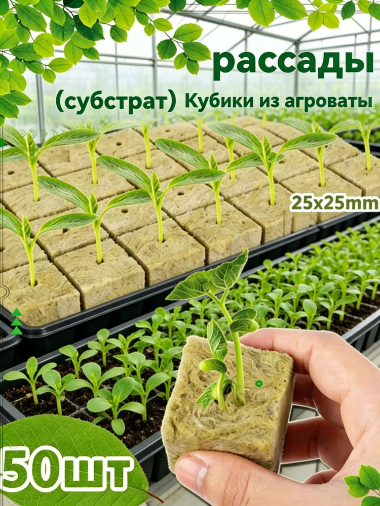 Таблетки торфяные #1