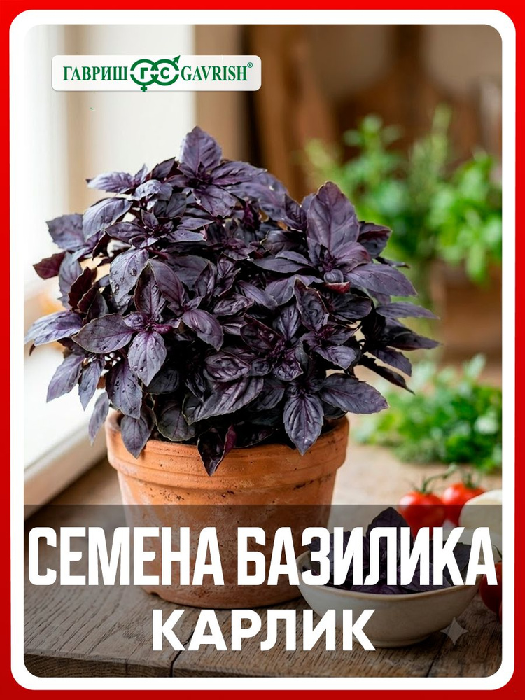 Семена Базилик овощной "Карлик" фиолетовый 0,1 гр, травы и пряности, для дома, дачи и огорода, на балкон, #1