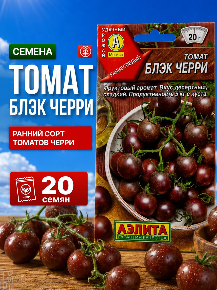 Томат Блэк черри #1