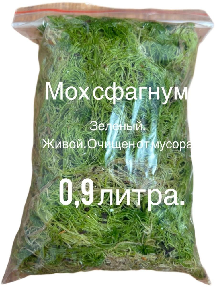 Мох #1