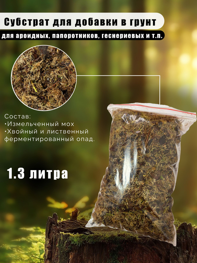 Мох #1