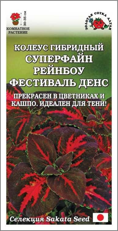 Ком: Колеус Суперфайн Рейнбоу Фестиваль Денс /Сотка/ 10шт/ h-35см #1
