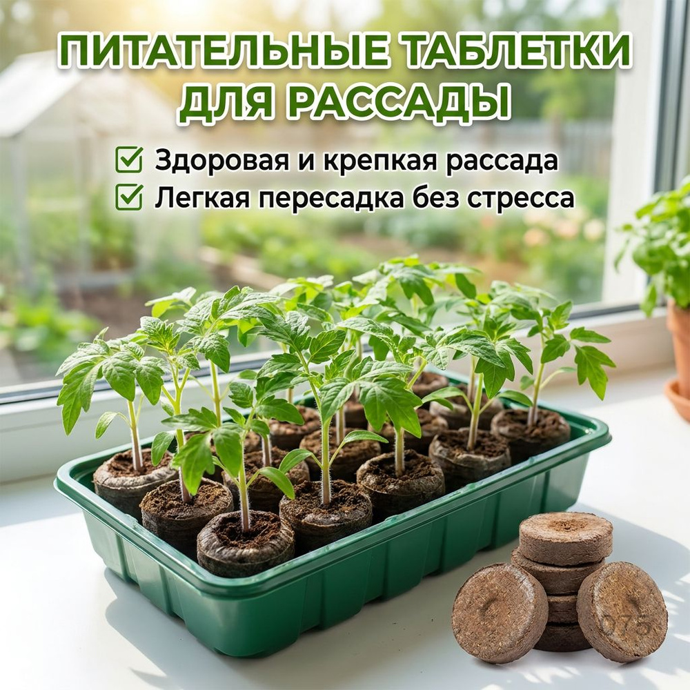Набор для рассады #1