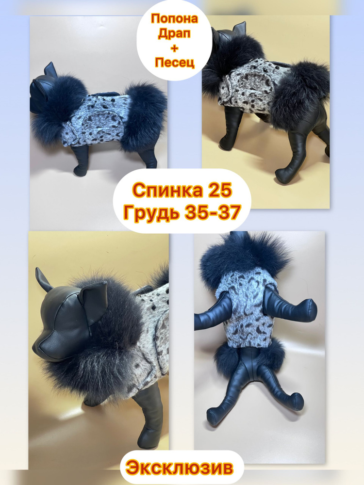 Одежда для собак #1