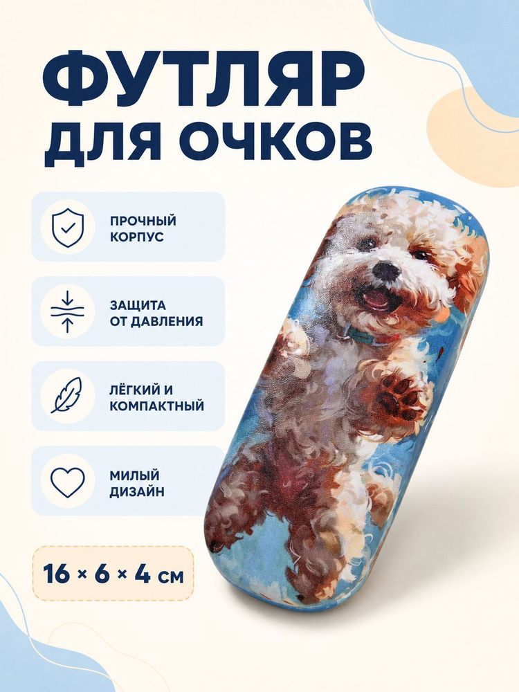 Футляр для очков #1