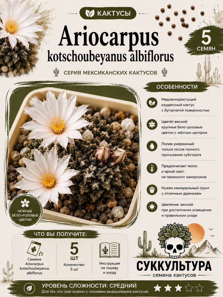 Семена Ariocarpus kotschoubeyanus albiflorus (Ариокарпус Кочубея) 5 шт. #1