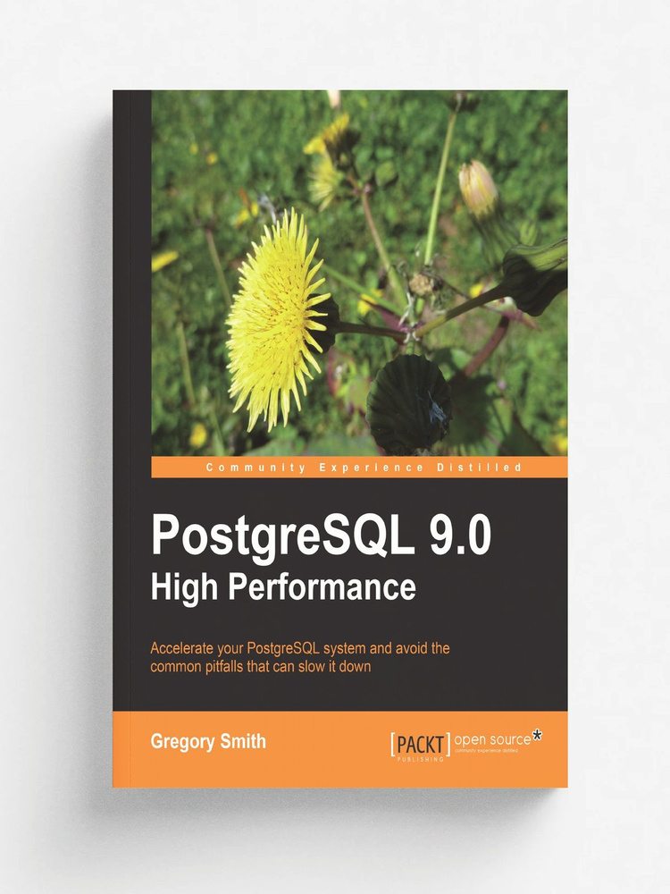PostgreSQL 9.0 High Performance #1