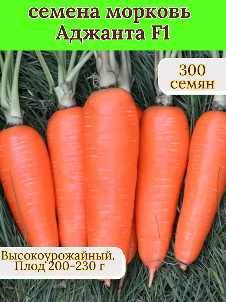 Семена #1