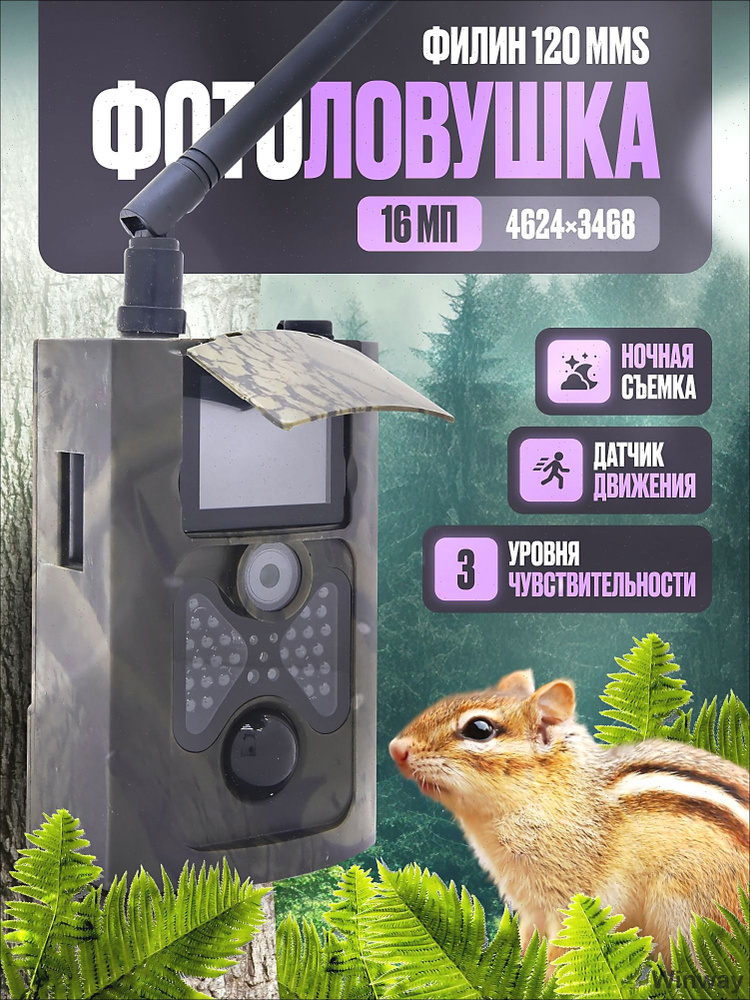 Фотоловушка #1