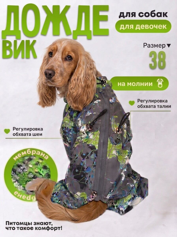 Дождевик комбинезон для собак мелких и средних пород девочек Абстракция #1
