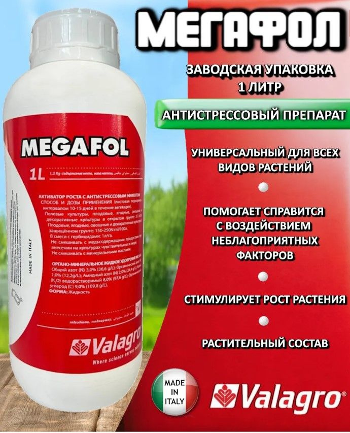 Мегафлопол #1