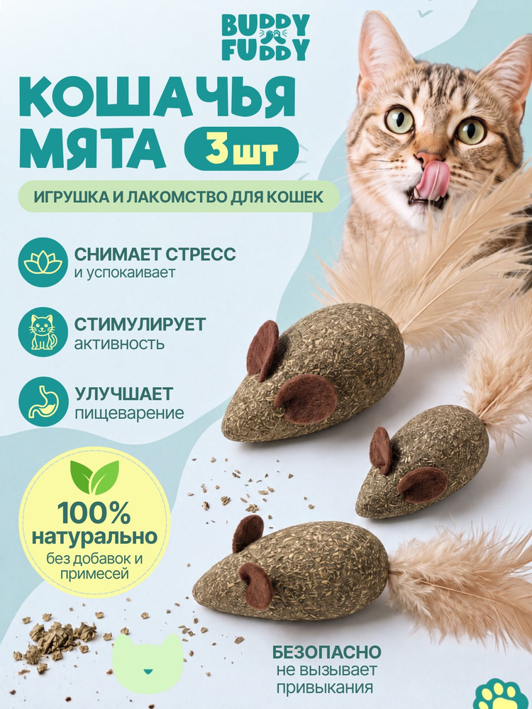 Кошачья мята #1